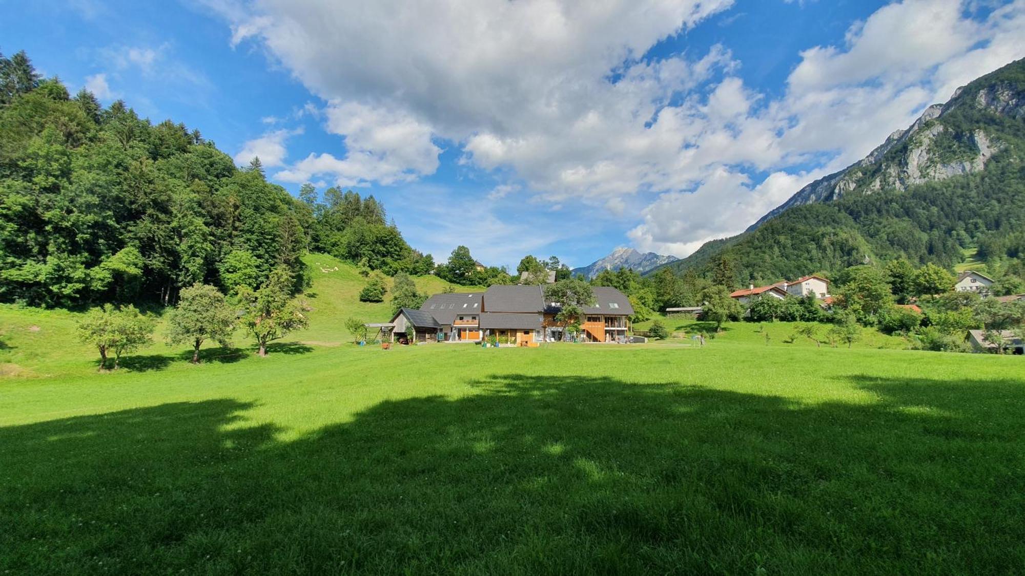 Apartments Tourist Farm Storman With Ev Ch-Station Trzic ภายนอก รูปภาพ